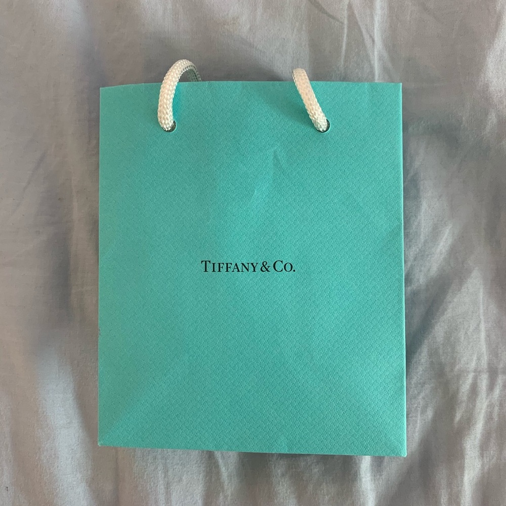 Tiffany and Co bag
